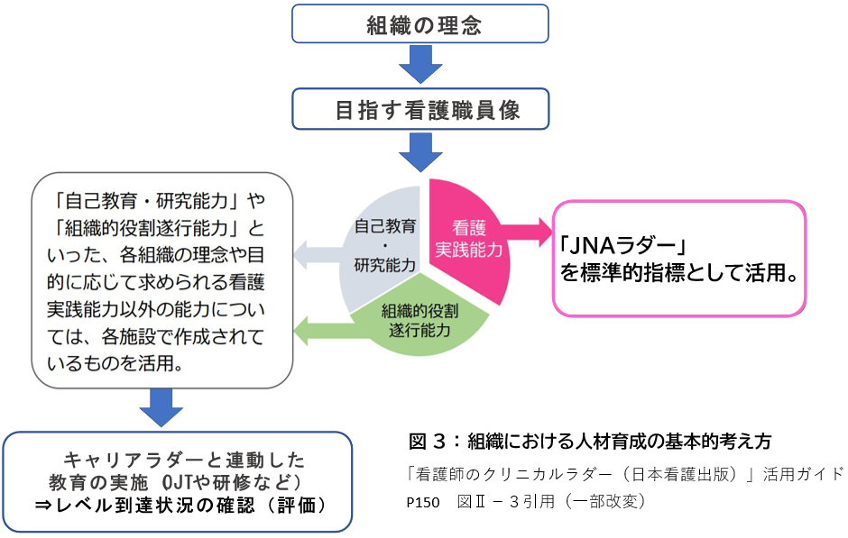 キャリアラダーと連動した教育を実施